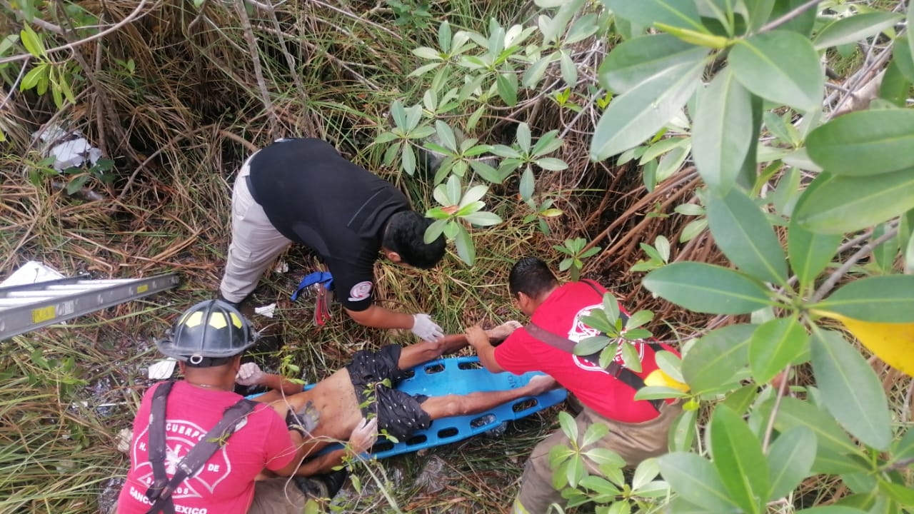 Adulto mayor cae en el mangle de Tajamar, en Cancún; en el lugar hay cocodrilos