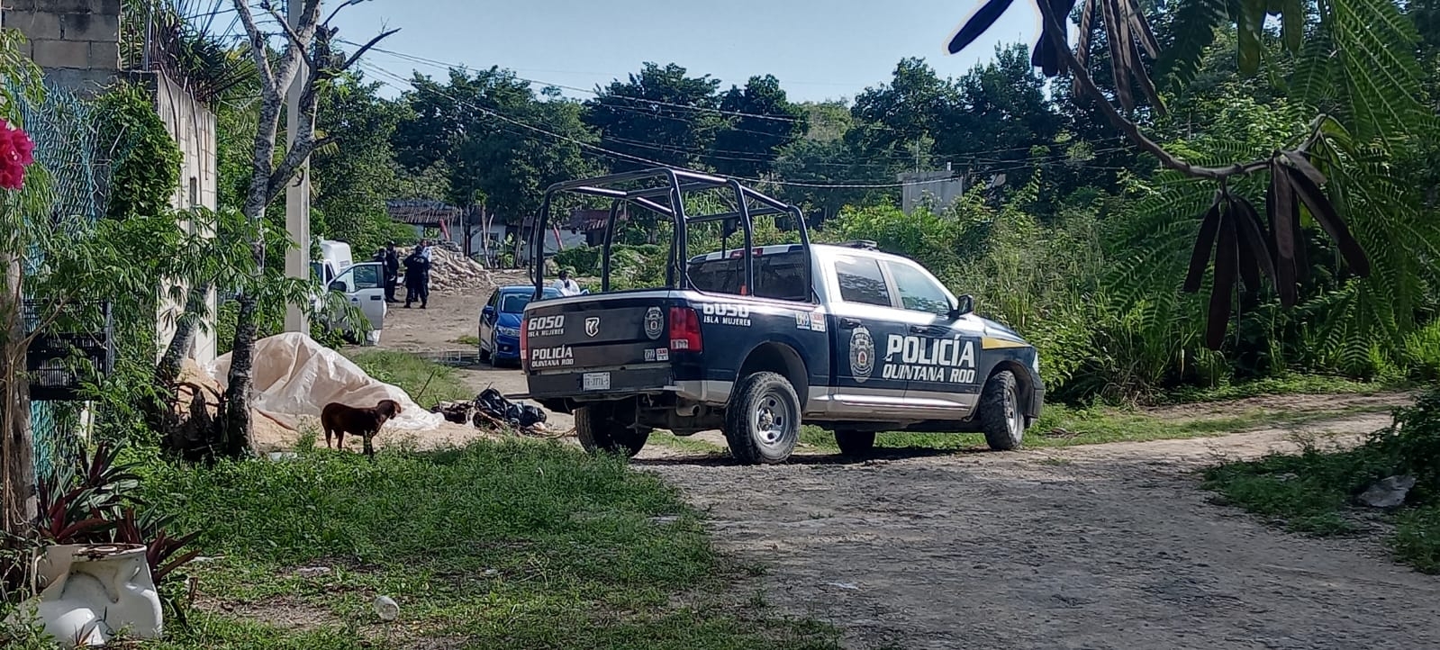 Balean a una pareja en la Zona Continental de Isla Mujeres