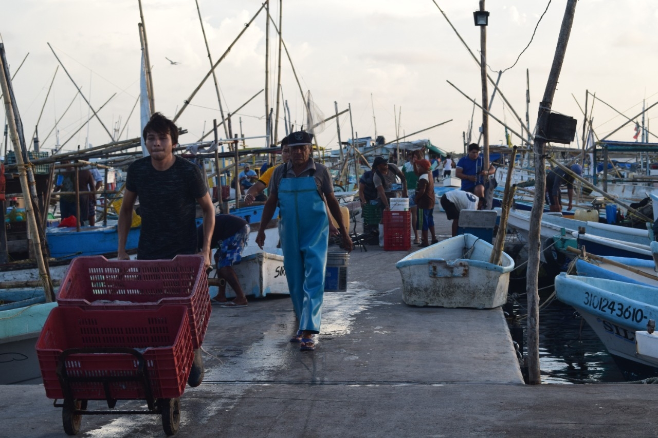 Las condiciones climáticas propiciaron que se detuviera la actividad del mar