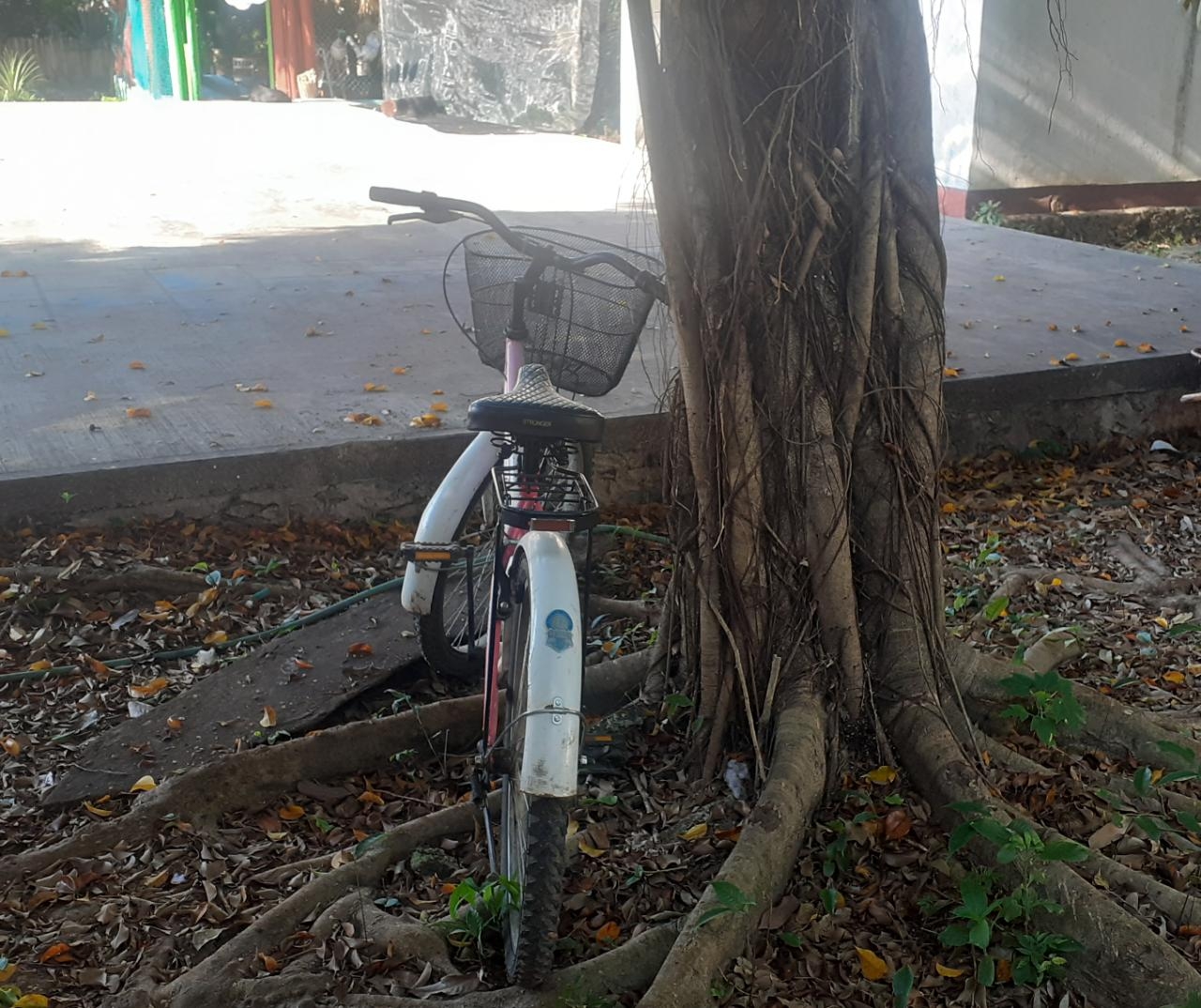 La bicicleta la dejo el hijo de la esposa del ciudadano como pieza de empeño