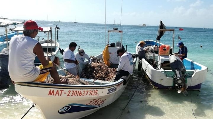 Los pescadores de Isla Mujeres buscan incursionar en actividades turísticas ante la falta de productos del mar