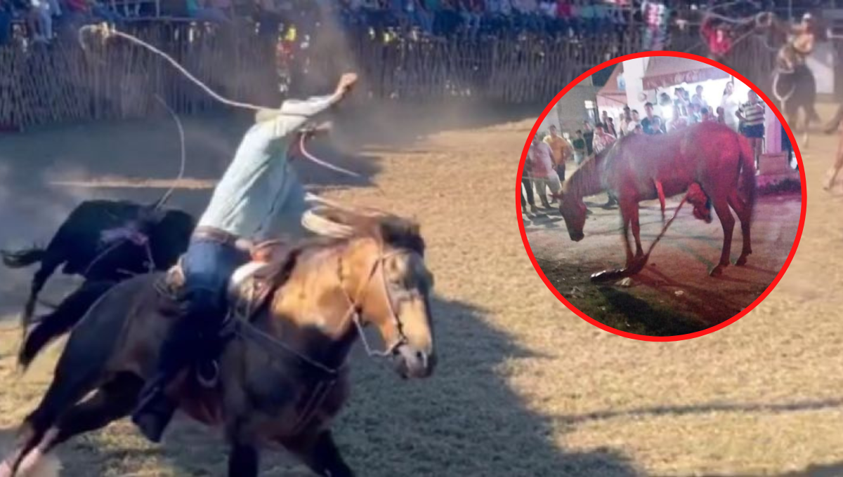 Destripan caballo durante una corrida en Izamal; pobladores piden parar maltrato animal
