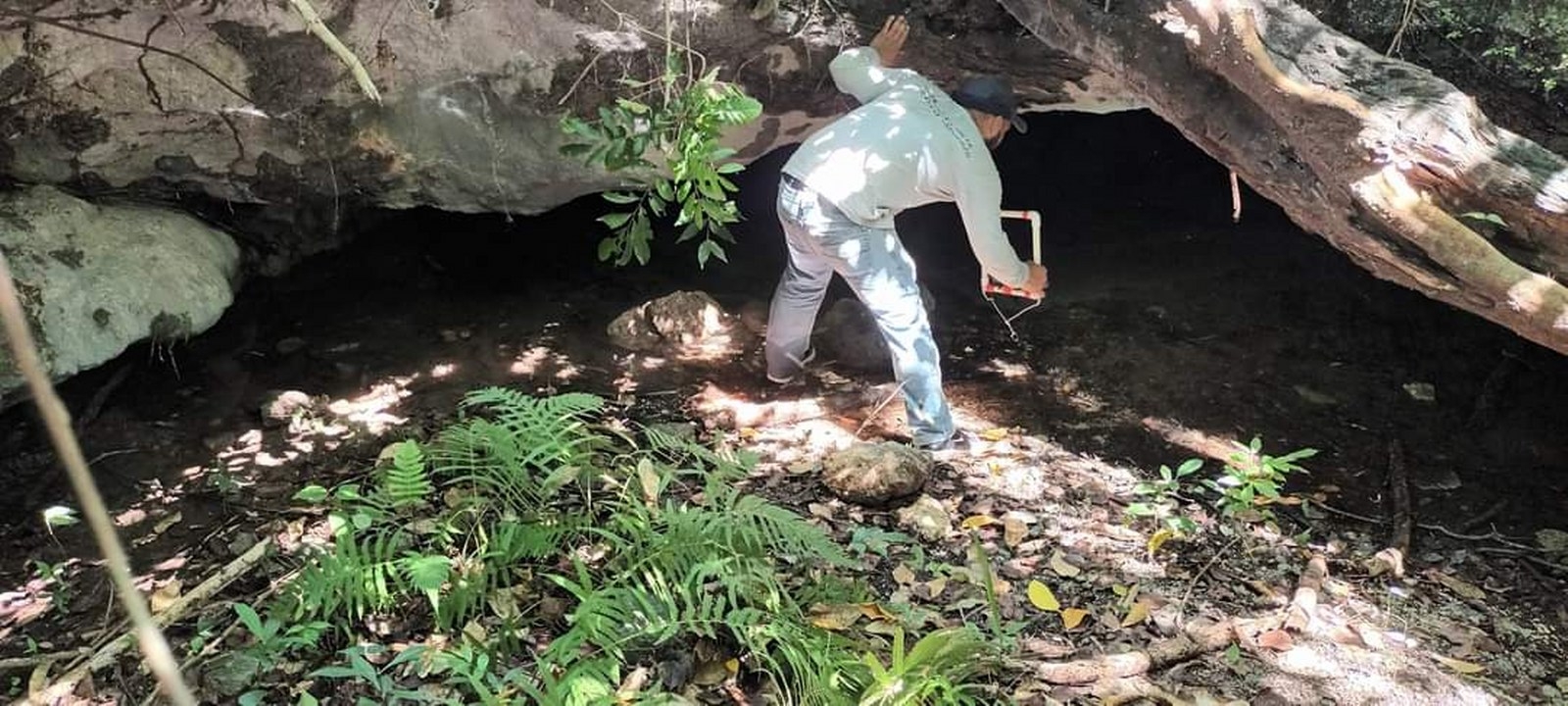 Si las cuevas dejaran de existir Cozumel también dejaría de existir