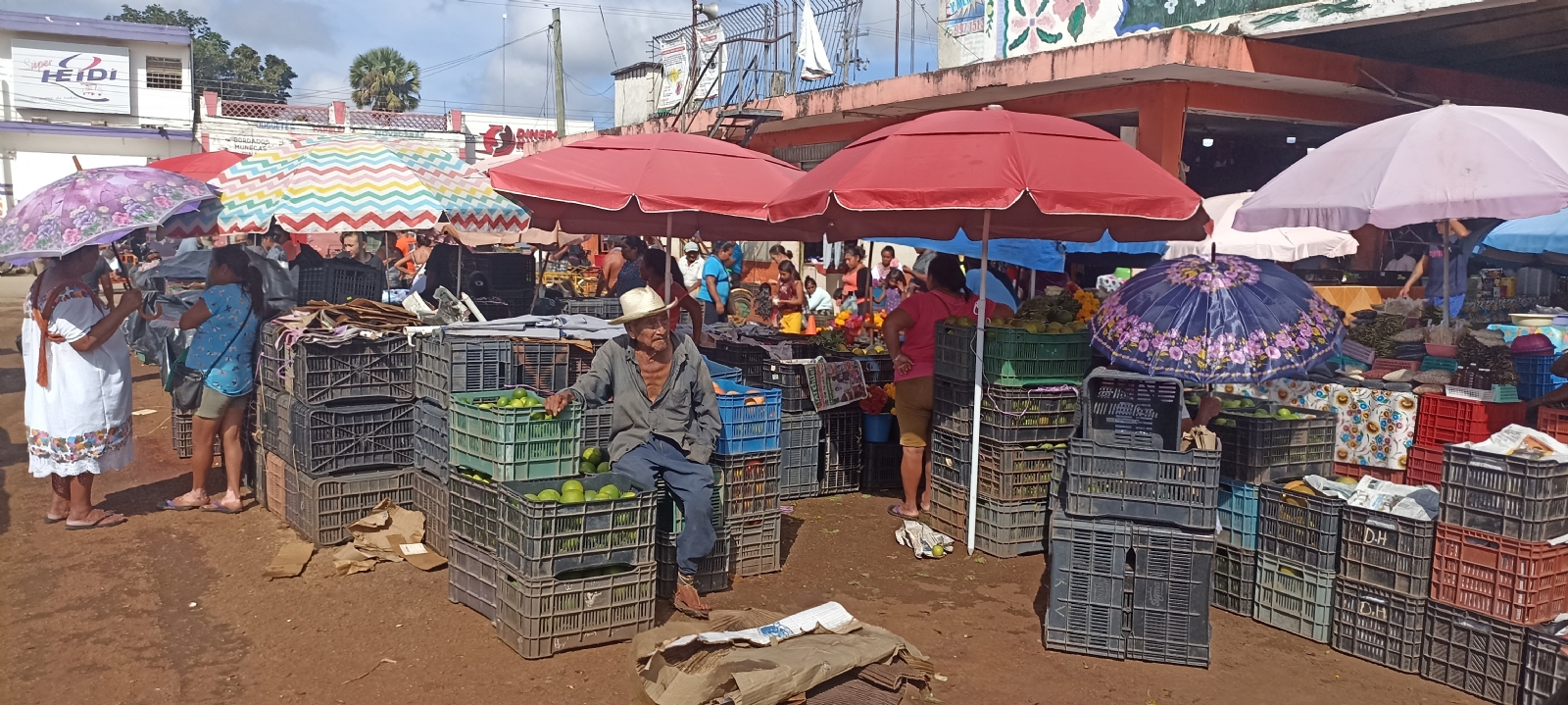 Precio del limón en Oxkutzcab, por los suelos; la caja se vende hasta en 80 pesos