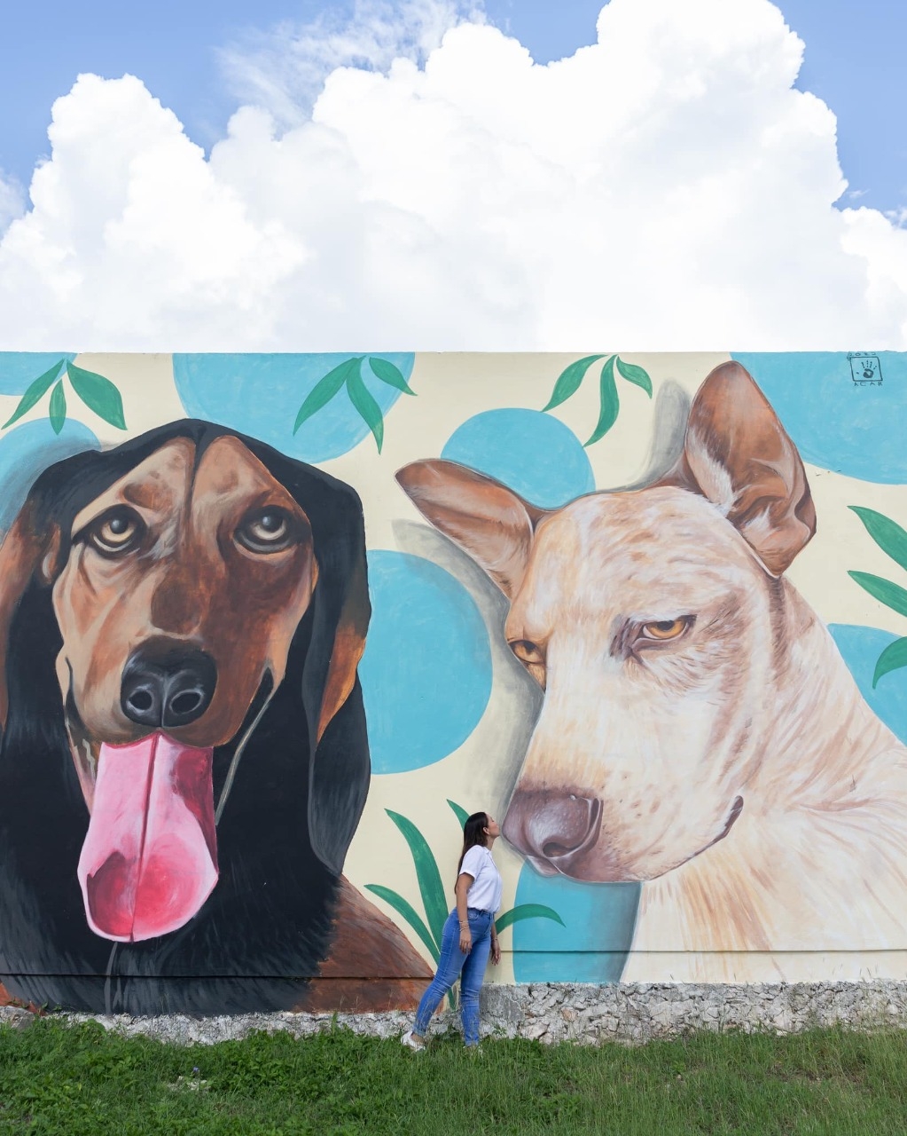 Johana Acosta compartió el amor por sus perrijos con un mural dedicado a ellos