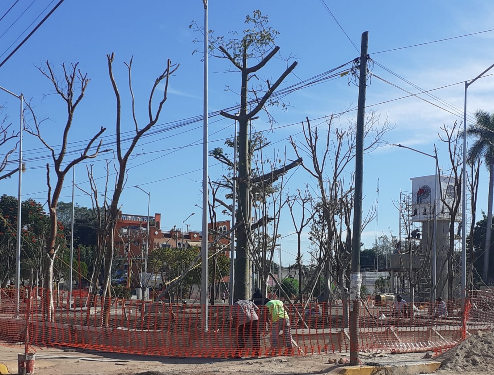 El ciudadano dijo que es bueno que haya árboles en un parque, pero eso va a implicar constantemente que se limpie