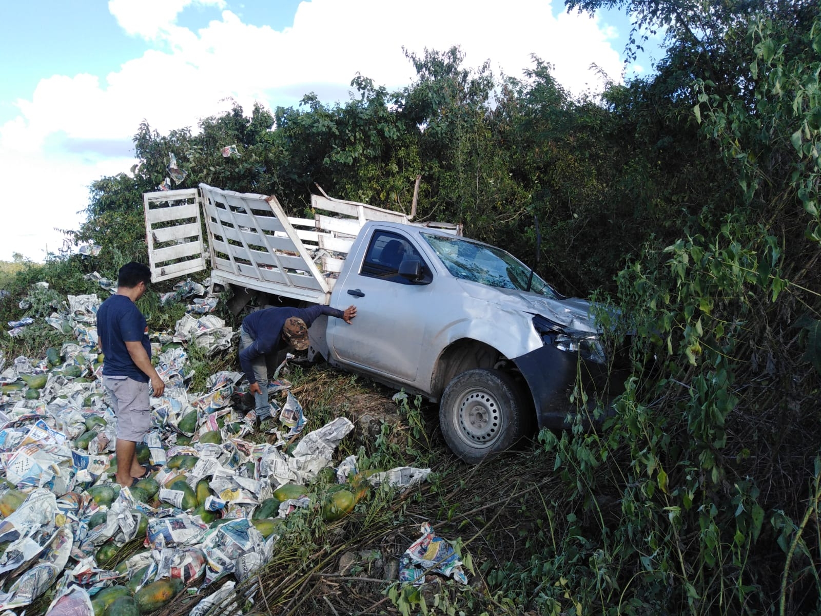 Vuelca camioneta llena de papayas en la carretera Buctzotz-Temax