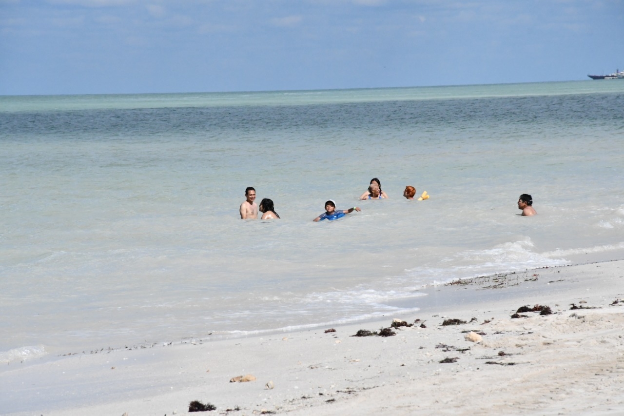 Las playas de Campeche se encuentran en condiciones aptas para el uso recreativo