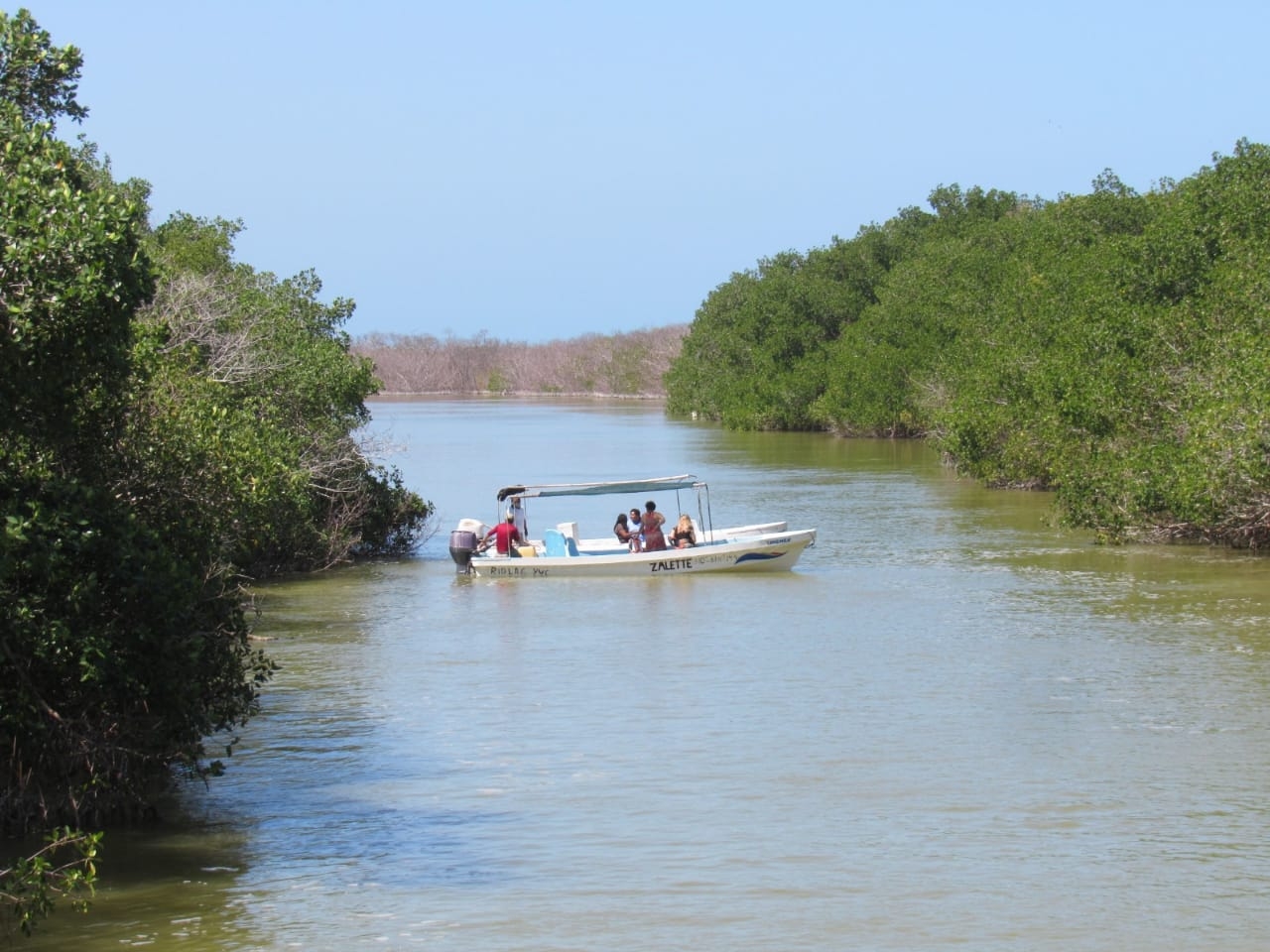 Río Lagartos es de los municipios más protegidos de Yucatán