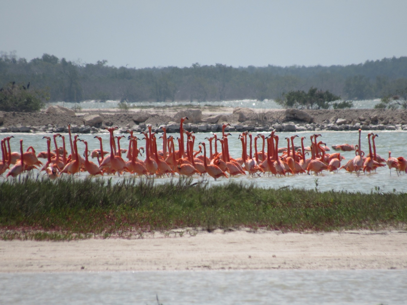 Las Coloradas busca convertirse en Pueblo Mágico; sería el quinto en Yucatán