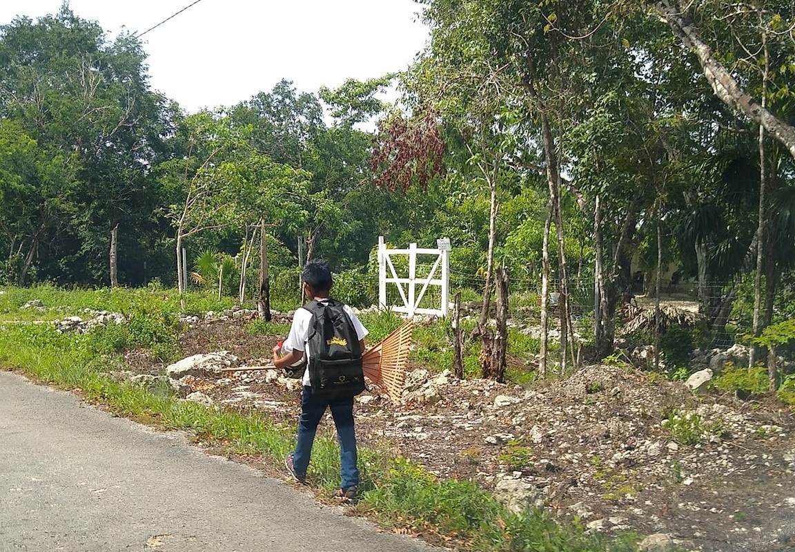 Agricultores de Isla Mujeres carecen de apoyos para la siembra