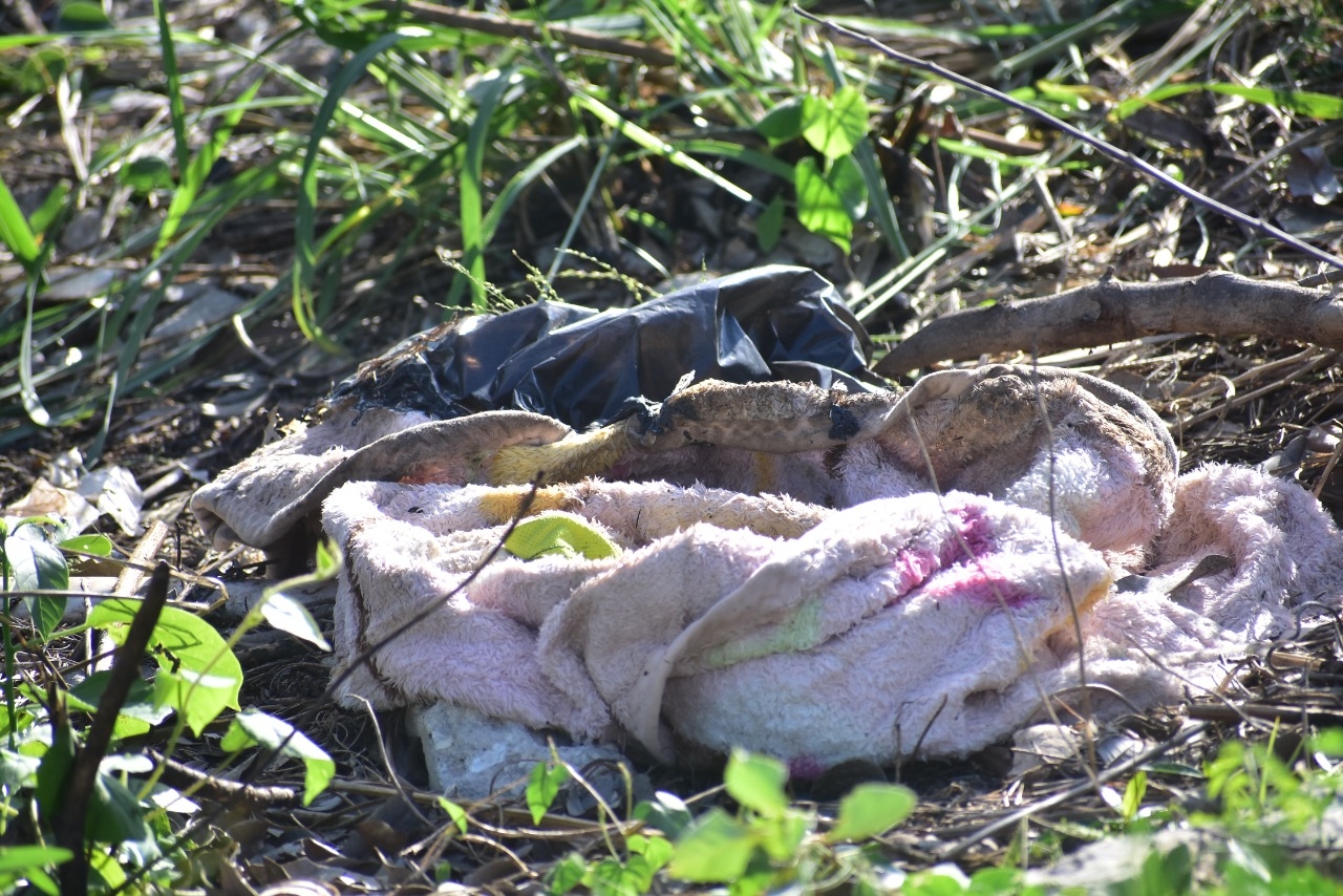 Encuentran cuerpo de un recién nacido dentro de una pañalera en un parque de Campeche
