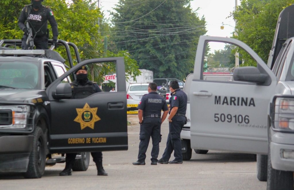 Elementos de la FGR y la Sedena realizaron el decomiso de drogas en Motul