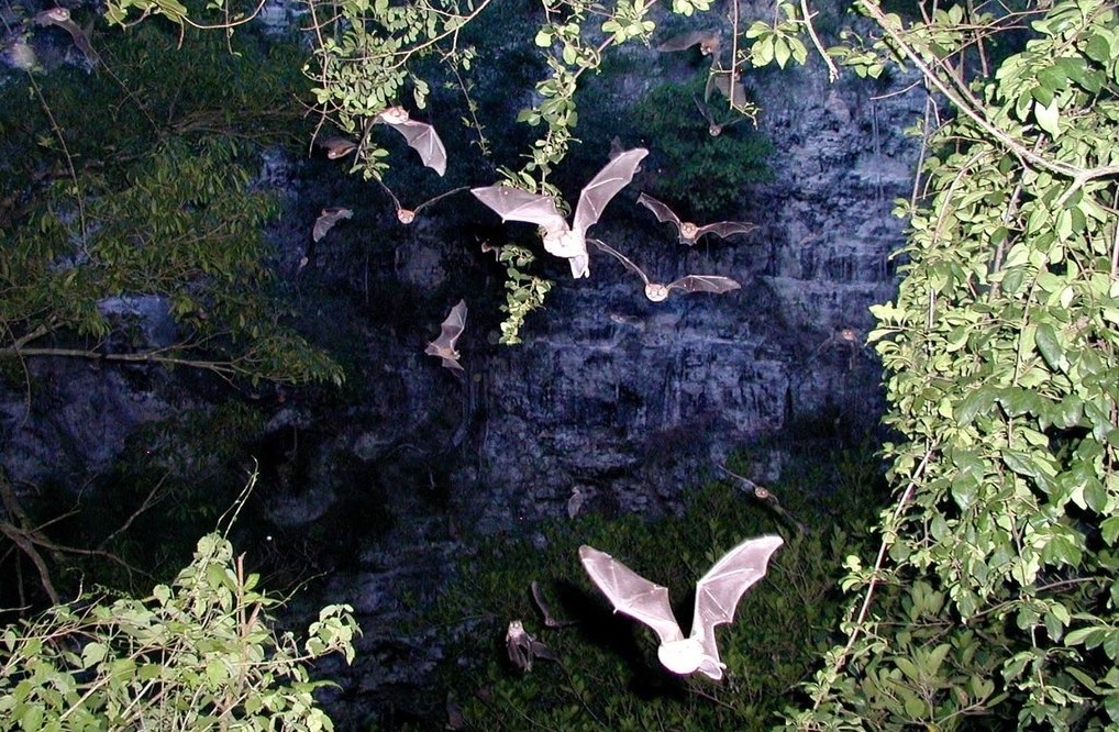 Volcán de los Murciélagos, la joya de Calakmul, Campeche