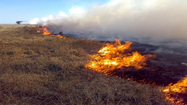 Argentina registró incendios inéditos este fin de semana. Foto: Especial