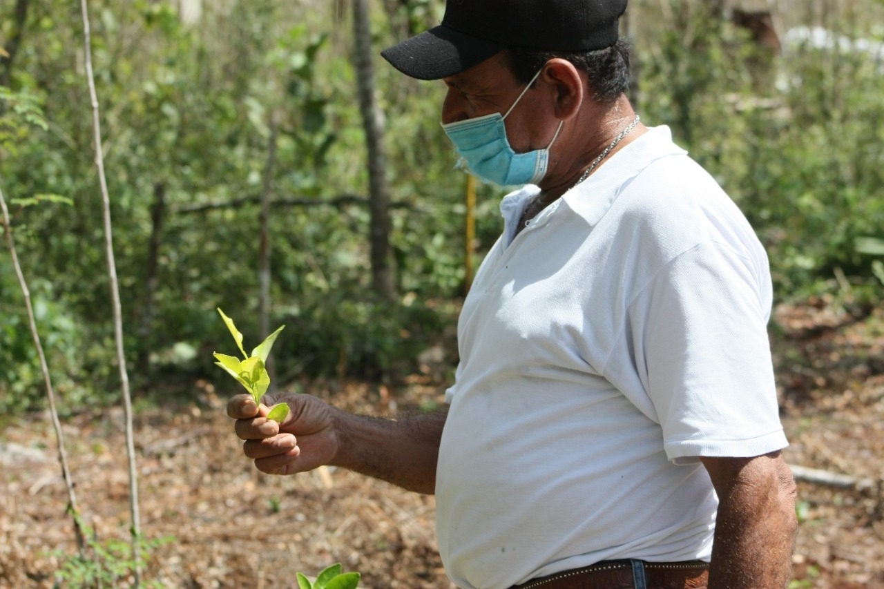 Impulso Orgánico Mexicano está respaldada por la Secretaría de Agricultura y Desarrollo Rural