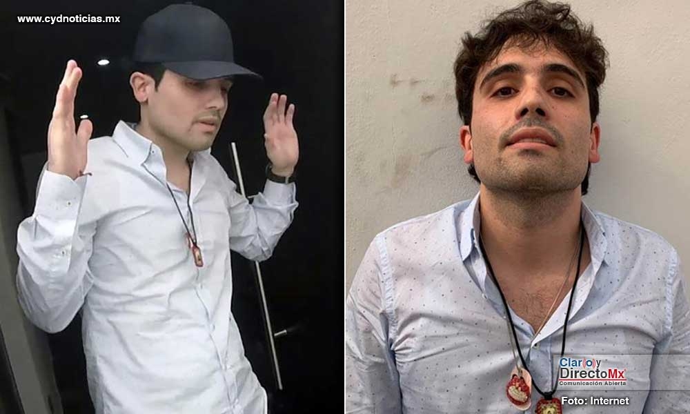 Soy el Ratón, la canción para Ovidio Guzmán que se está viralizando