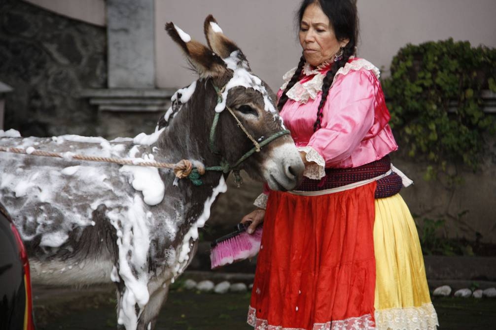 Desde su primera película, "Ruletero a toda marcha" en 1962 hasta su último filme, "La hija de Moctezuma"  en 2014, su personaje mantuvo sus características. Foto: Especial