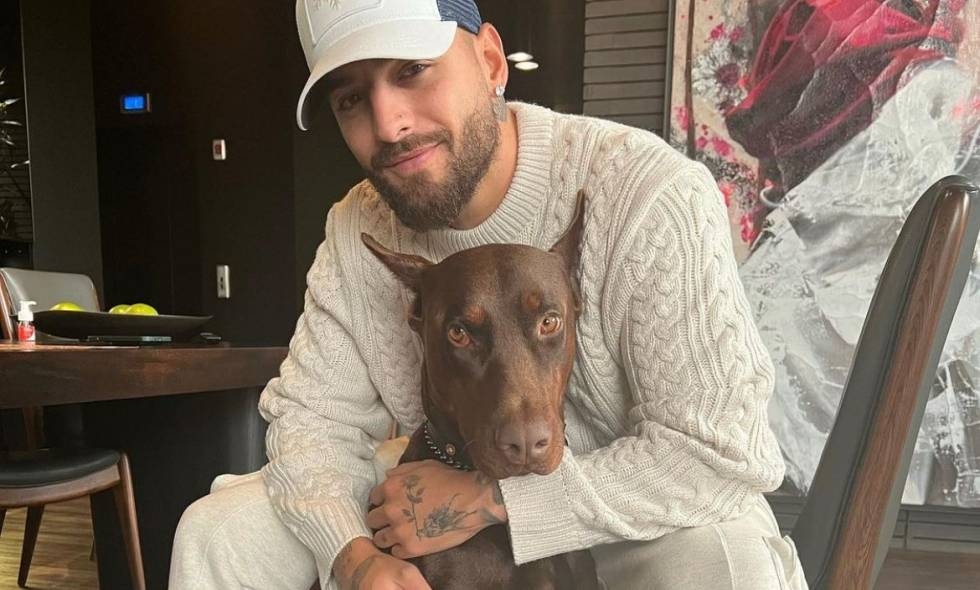 Buda es el nombre del perro de Maluma. Foto: Instagram