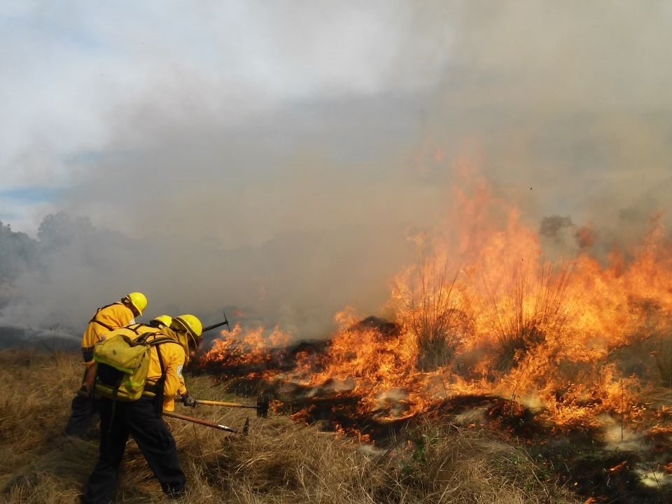 En Yucatán, incendios forestales consumieron más de mil hectáreas en 2022: Conafor