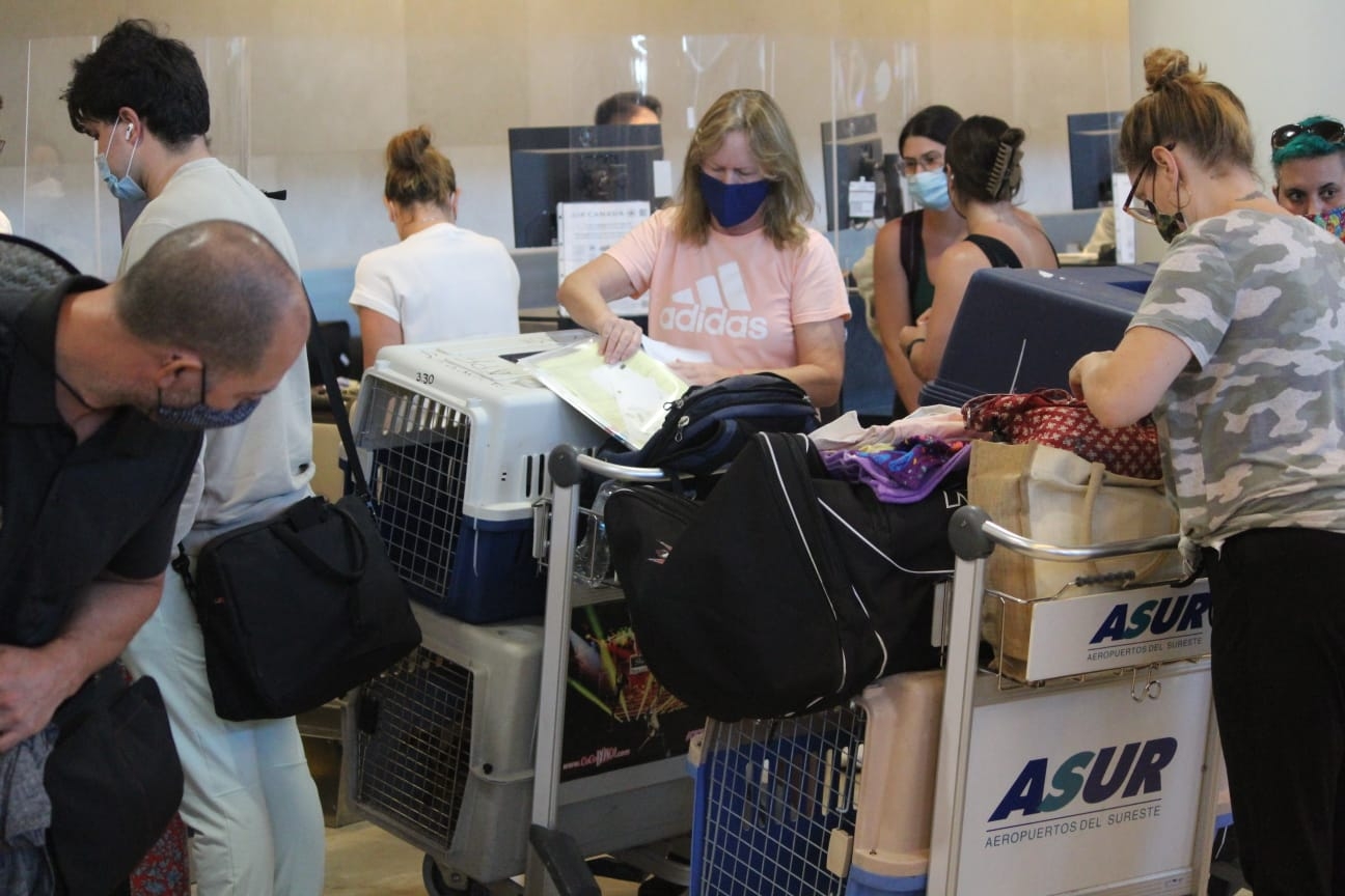 Las turistas canadienses tiene una fundación de rescate de perritos en Isla Mujeres, Playa del Carmen y Mahahual