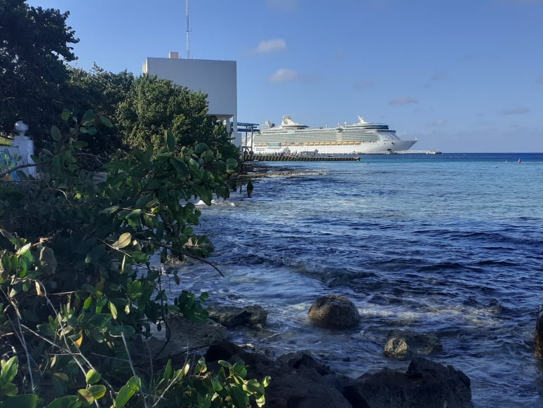 Los opositores a la construcción del cuarto muelle en Cozumel se manifestaron e informaron los daños ambientales que éste traería al ecosistema de Cozumel