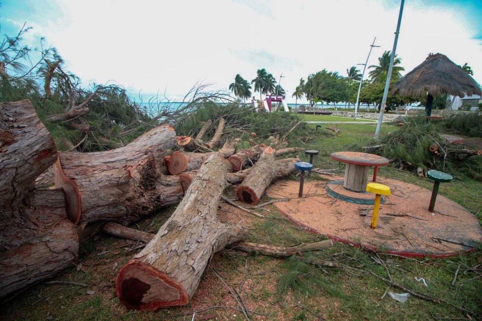 La Procuraduría de Protección al Ambiente de Quintana Roo tiene pendiente la invstigación sobre la tala de árboles en Chetumal