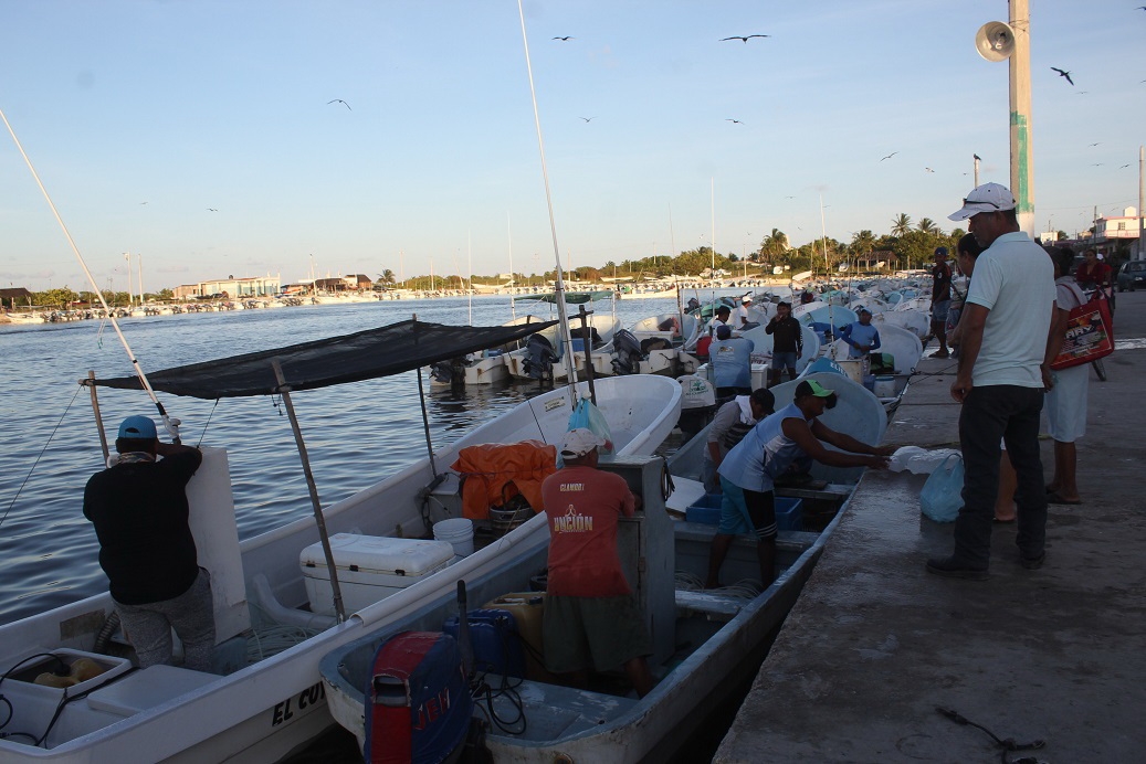 Cooperativas de puertos de Yucatán interrumpen temporada de langosta