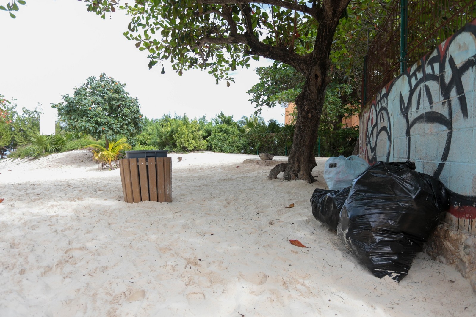 Las bolsas con desechos recogida de la playa de Cancún fueron dejadas a la entrada en la espera de su traslado al basurero municipal