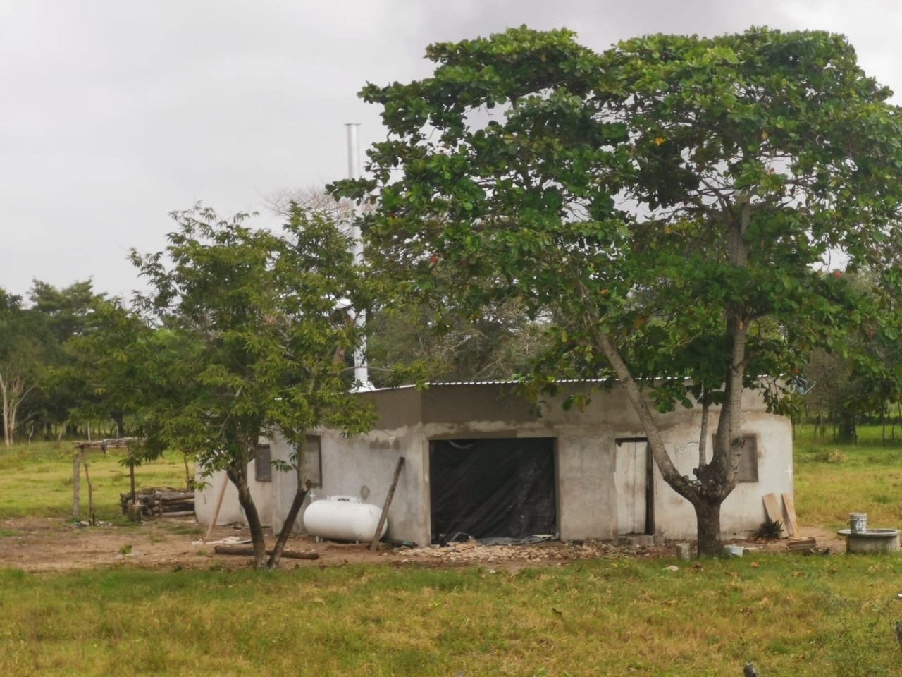 Los vecinos comenzaron a ver que salía humo negro de la vivienda, el cual despedía un hedor insoportable