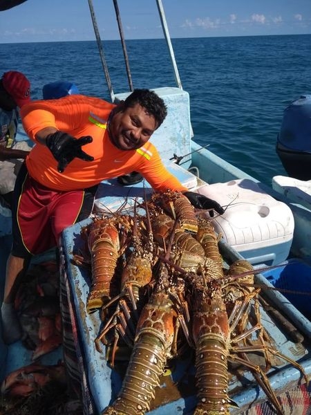 Temporada de langosta 2022: Pescadores de Lázaro Cárdenas capturan hasta 6 toneladas en una semana