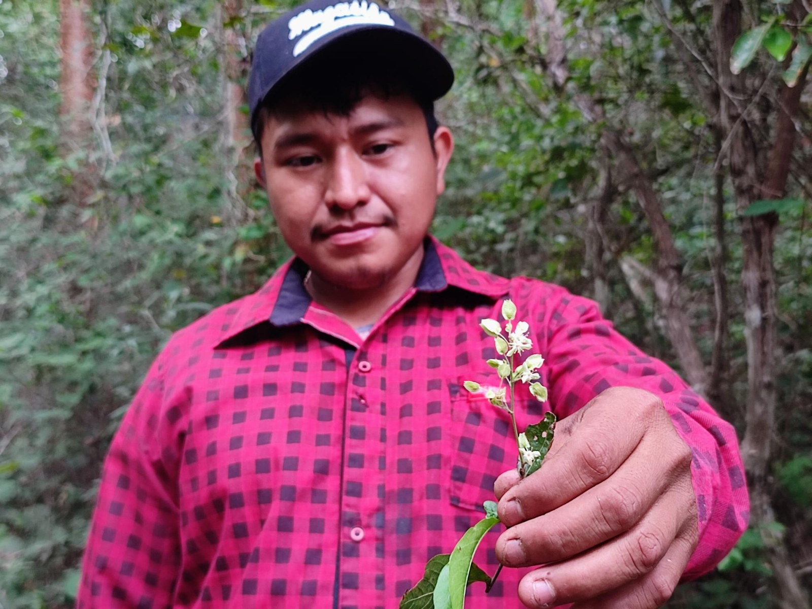 Varios productores de Tahdziú indicaron que tienen que rentar algunos artículos de apicultura para la cosecha