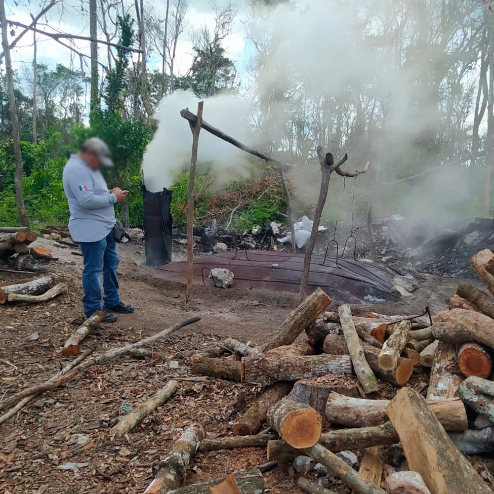 Hace unas semanas, la Guardia Nacional en conjunto con la Profepa clausuraron hornos clandestinos de carbón vegetal