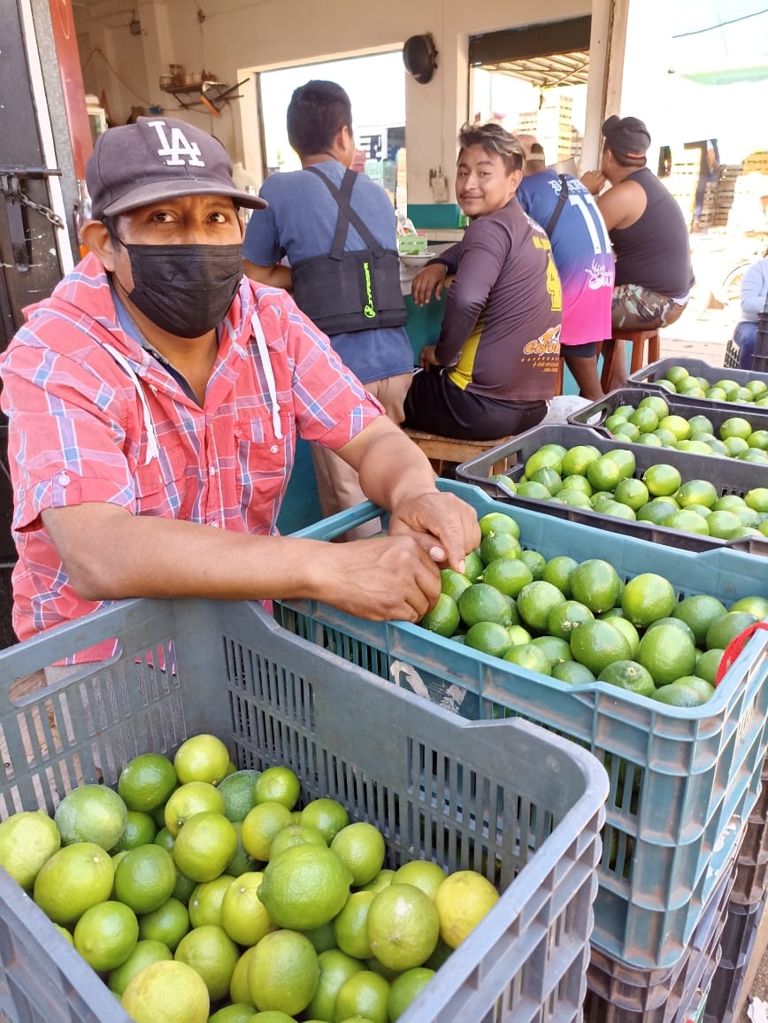 Productores de Oxkutzcab depositan su esperanza en Cuaresma, ya que la gente consume más el fruto en esa época