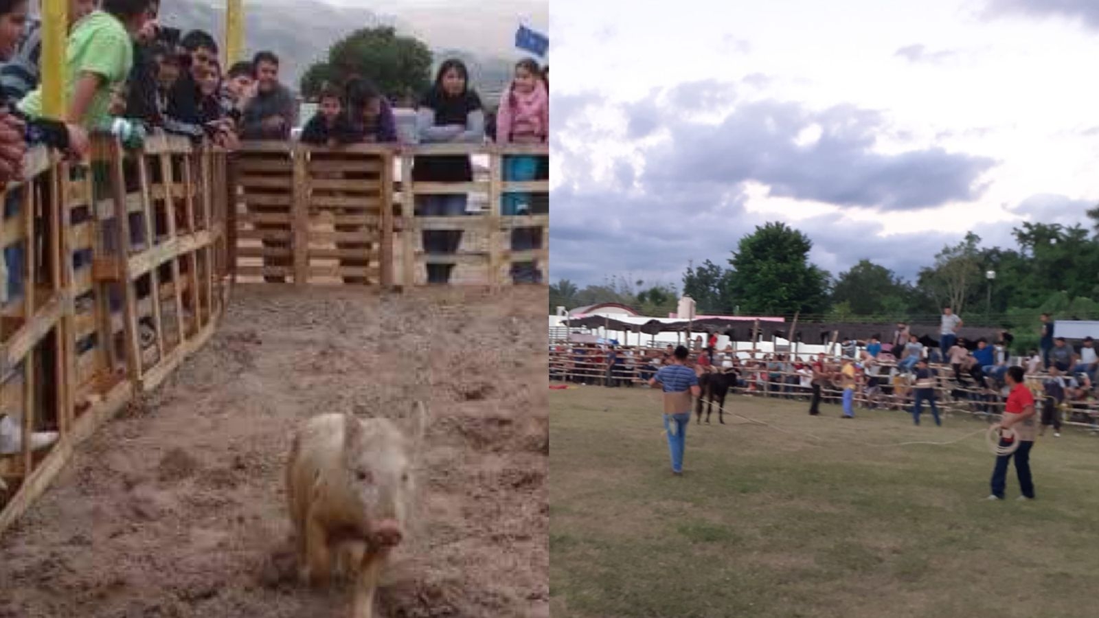 La feria tendrá una gran variedad de actividades