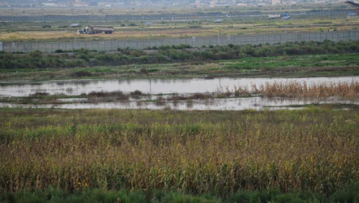 El presidente Andrés Manuel López Obrador declaró al Lago de Texcoco como Área Natural Protegida con el carácter de Área de Protección de Recursos Naturales