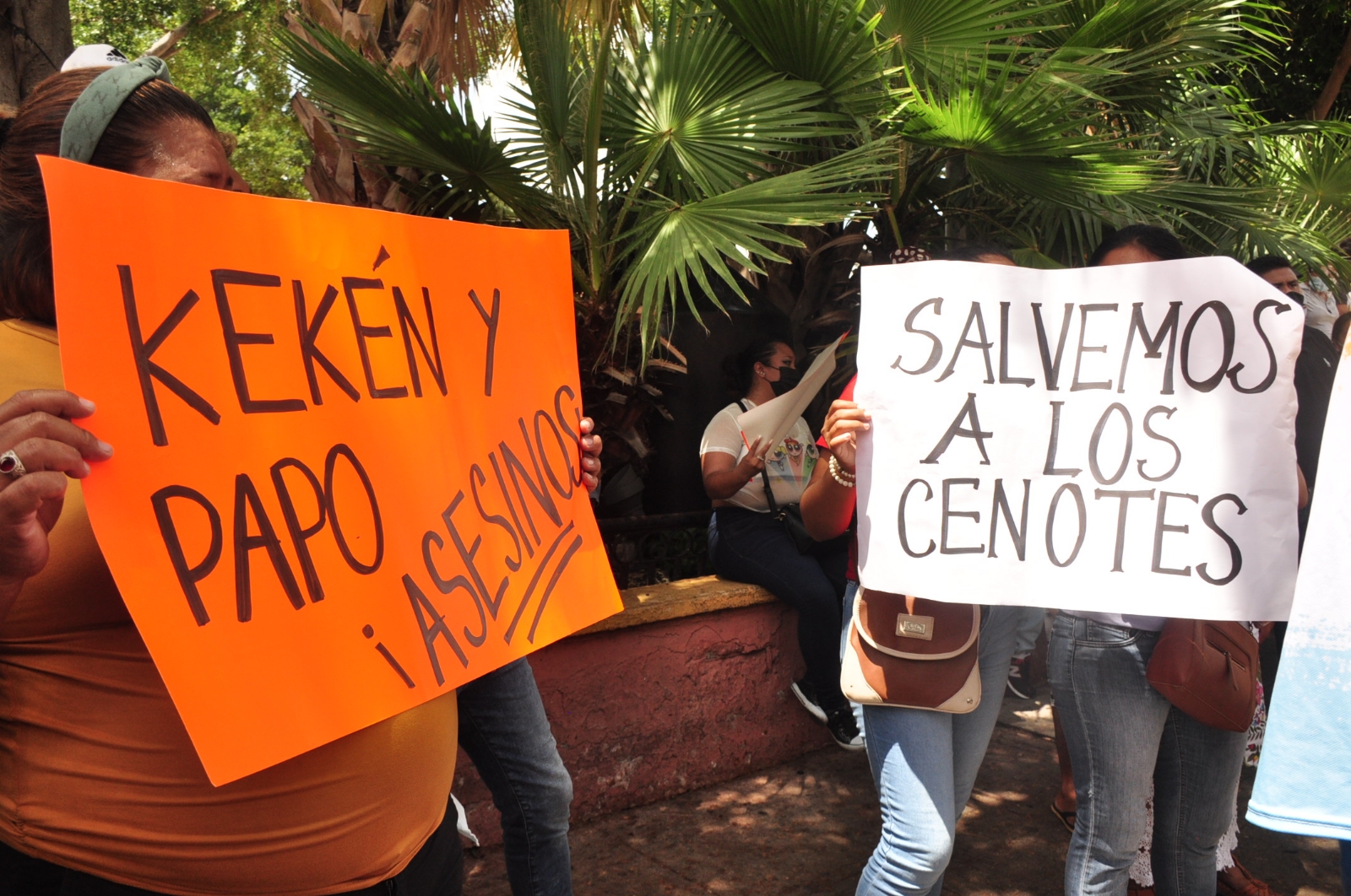 Granjas porcícolas en Yucatán: Greenpeace entrega hoy 181 mil firmas contra Kekén