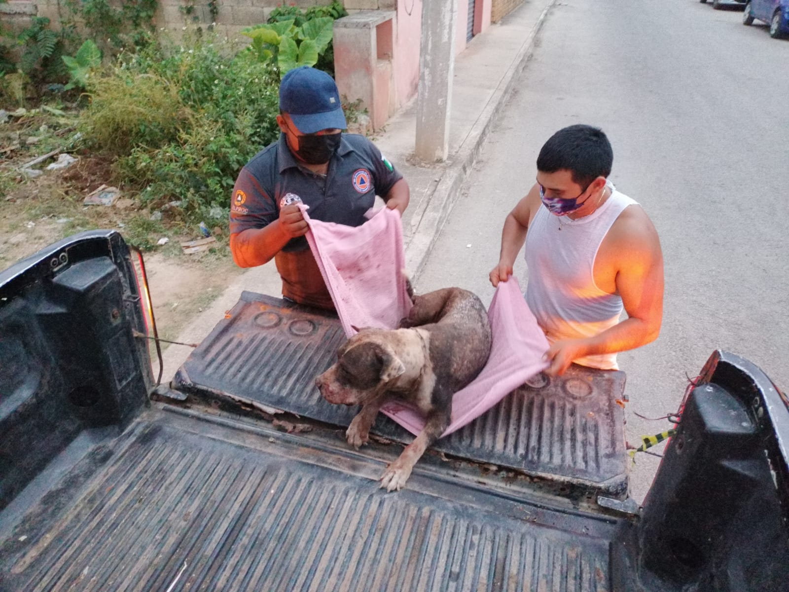 El propietario del animal agradeció el rescate del can