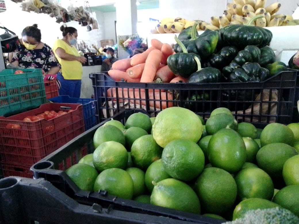 Comerciantes de Telchac Pueblo mantendrán el precio alto del limón