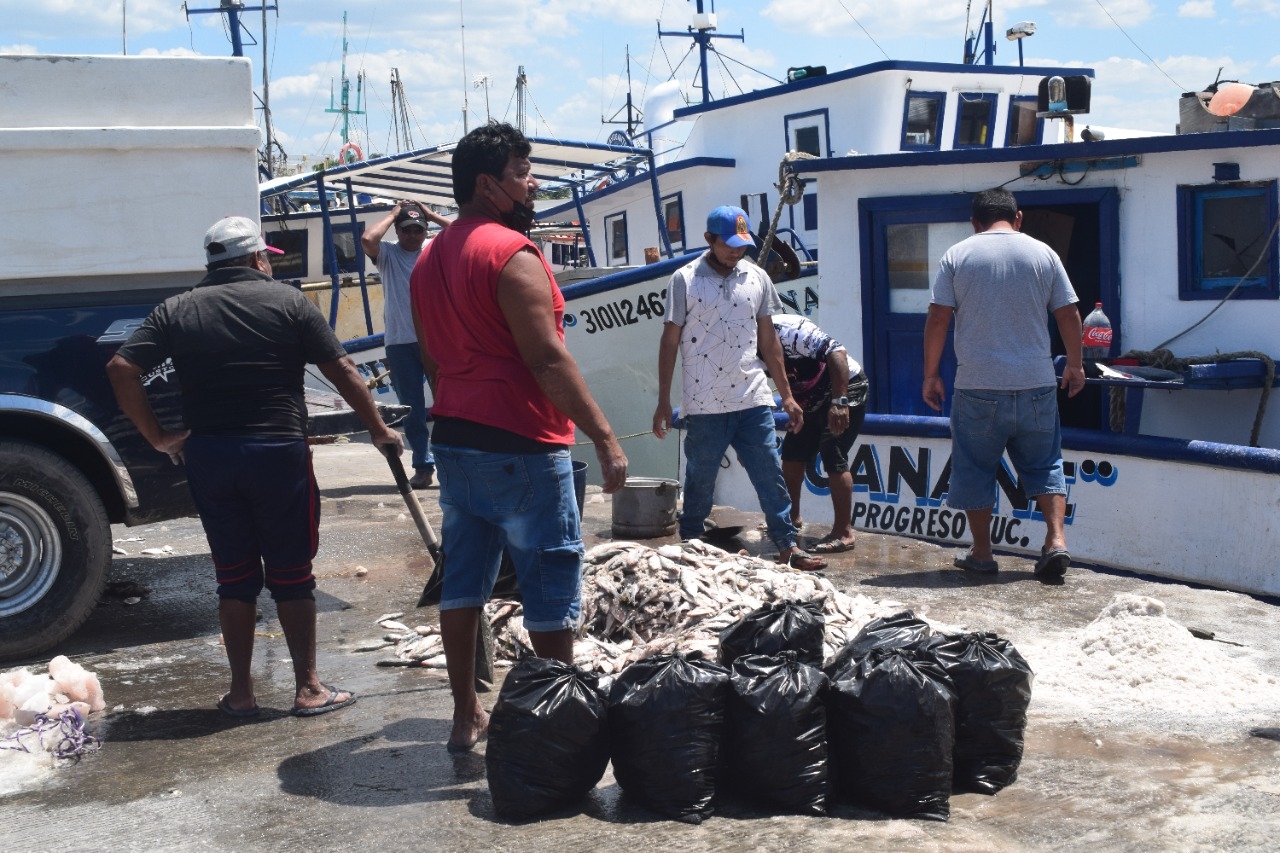 Desde las 8:00 horas trabajadores arribaron al puerto de abrigo para alistar sus suministros