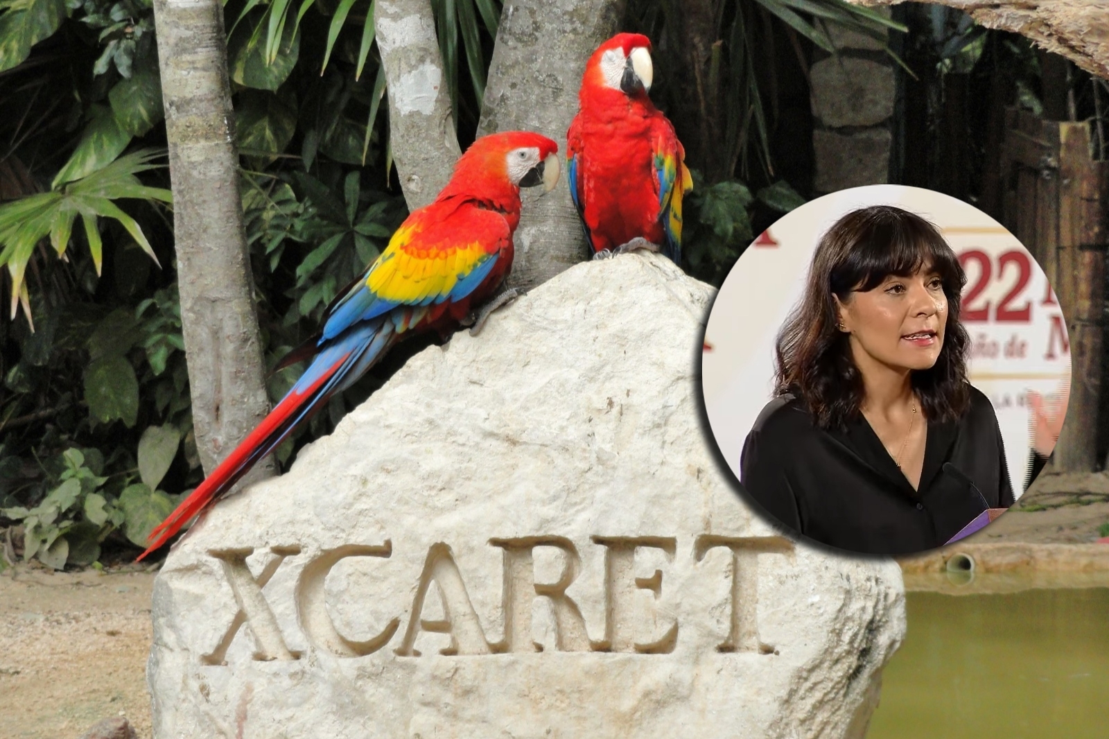 Grupo Xcaret apareció en la lista de empresas que firmaron un pronunciamiento contra el Tren Maya en Quintana Roo