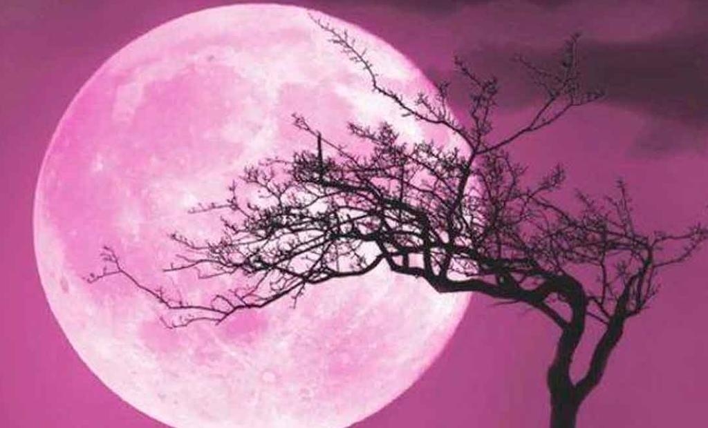 La Luna Rosa es uno de los fenómenos astronómicos de abril. Foto: Especial