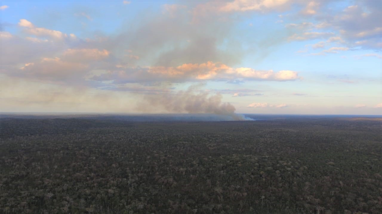 La columna de humo provocada por el incendio, alertó a habitantes de Bacalar, que dieron aviso a las autoridades del siniestro