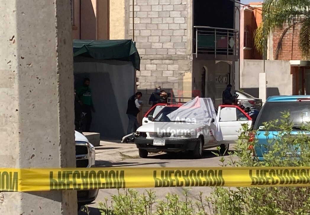 Los vecinos de la colonia Los Olivos, reportaron a los números de emergencia detonaciones de arma de fuego sobre la calle Ficus