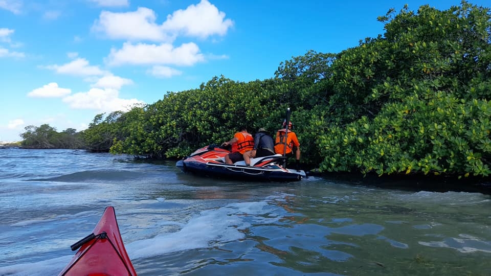 Kayakistas hallan restos de un cocodrilo en la Laguna Nichupté de Cancún: VIDEO