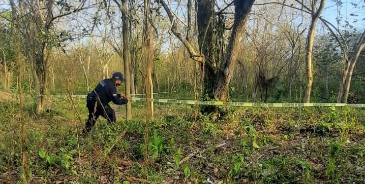 Abuelito muere tras quedarse atorado dentro de una madriguera en Tizimín