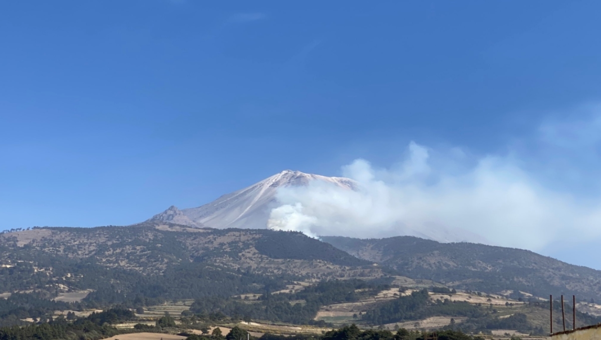 Se registra incendio en las faldas del Pico de Orizaba; afecta 65 hectáreas