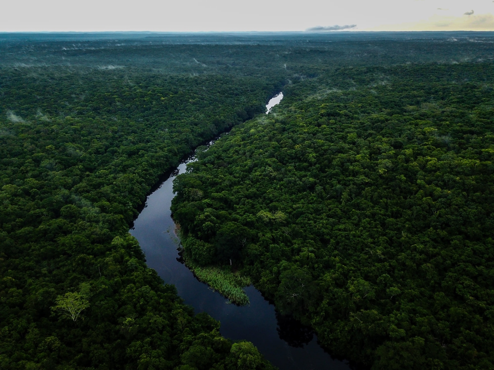 Daño ambiental en la selva maya desataría pandemias en el mundo, alertan