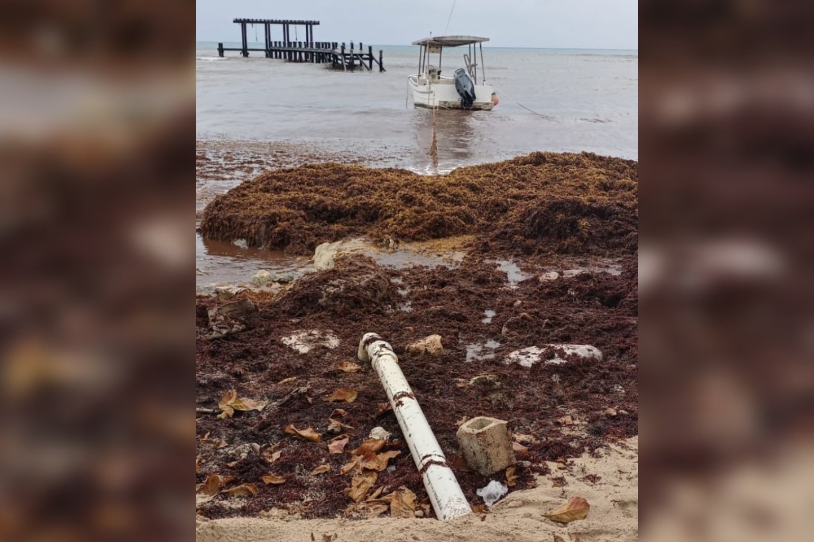 Aguakán asegura que fue la CAPA la que colocó ese tubo en la playa, pues dicen que ocurrió en 2015, antes de su llegada a la Riviera Maya