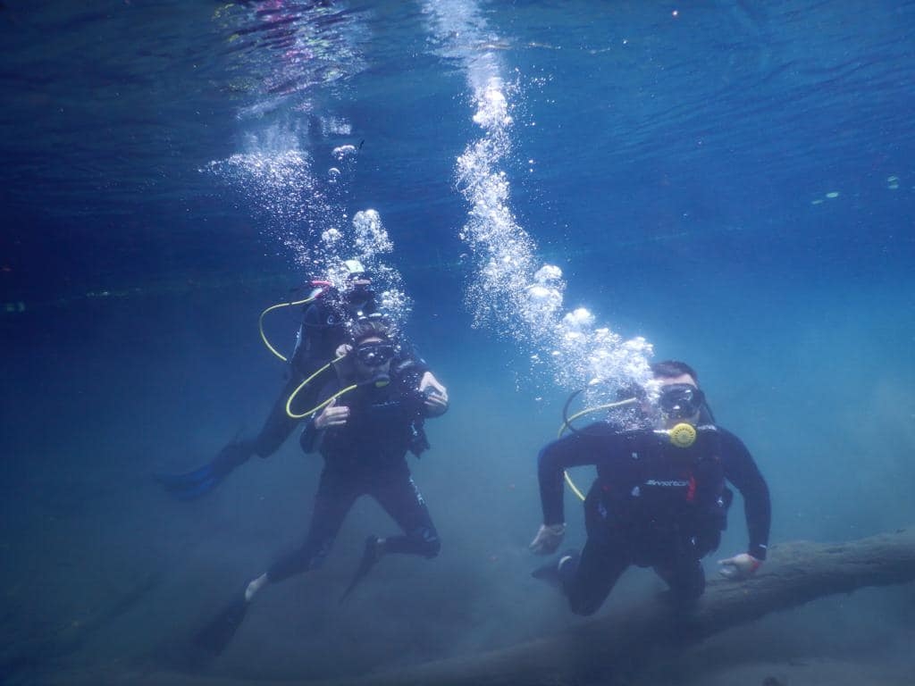 De los lugares preferidos para bucear está el arrecife Alacranes, muy cerca de la costa de Yucatán